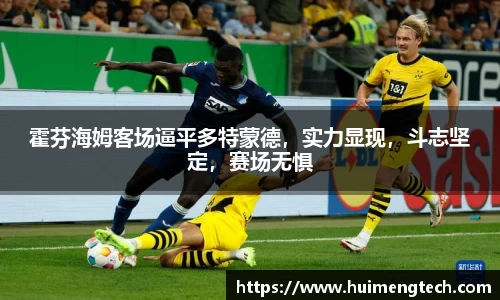 美嘉体育下载