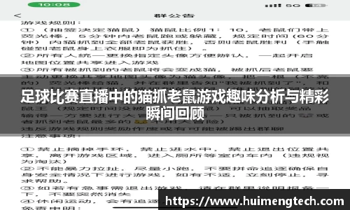 足球比赛直播中的猫抓老鼠游戏趣味分析与精彩瞬间回顾